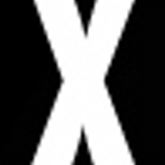 X Party
