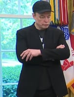 Official Elon Musk Party
